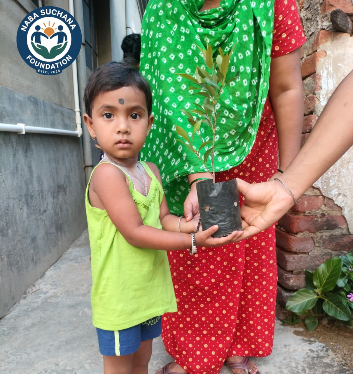Tree Plantation and Tree Donation Program.